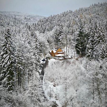 Pensjonat Alpejski Dwor Miedzygorze Dış mekan fotoğraf