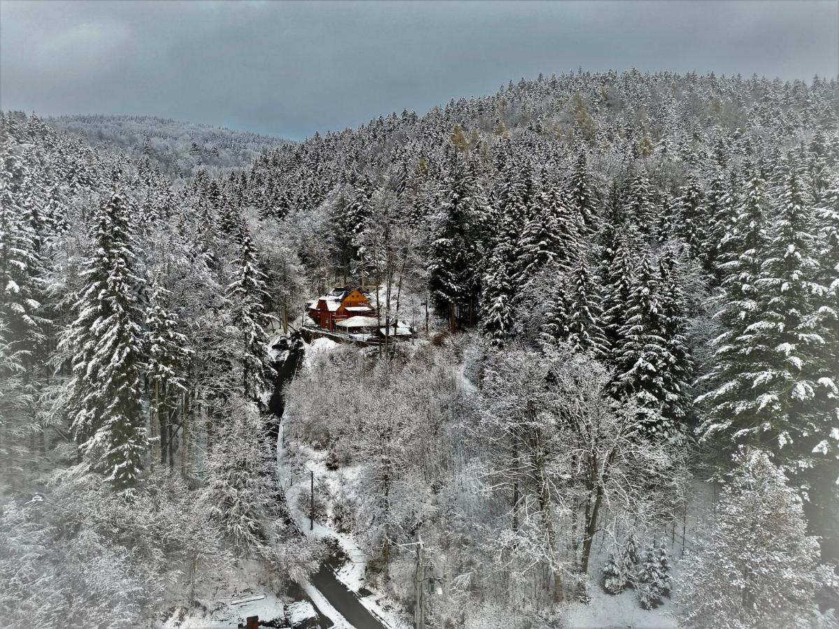 Pensjonat Alpejski Dwor Miedzygorze Dış mekan fotoğraf