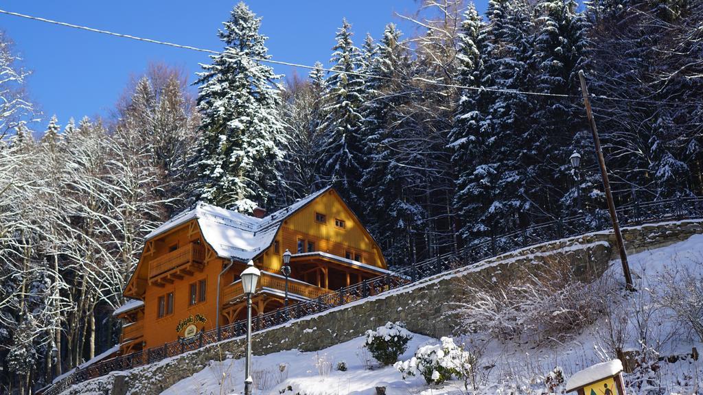 Pensjonat Alpejski Dwor Miedzygorze Dış mekan fotoğraf