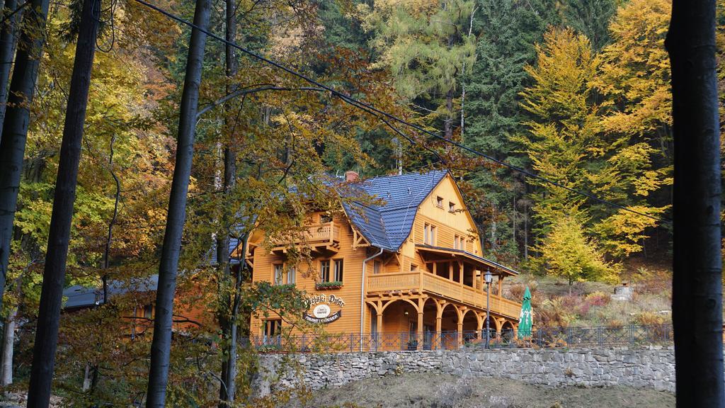 Pensjonat Alpejski Dwor Miedzygorze Dış mekan fotoğraf