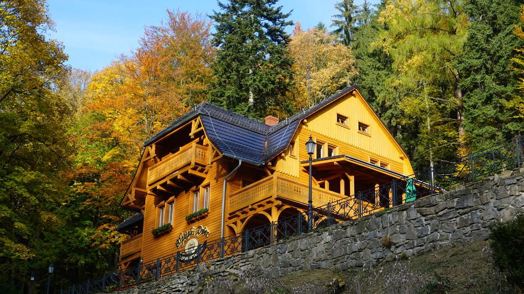 Pensjonat Alpejski Dwor Miedzygorze Dış mekan fotoğraf