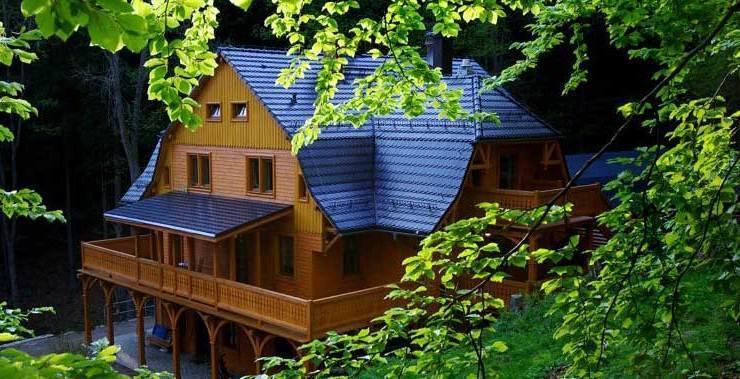 Pensjonat Alpejski Dwor Miedzygorze Dış mekan fotoğraf